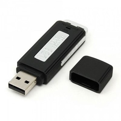 Диктофон USB 8 GB - фото 4631